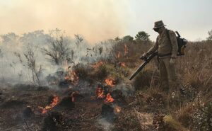 Como evitar queimadas - material de incêndio